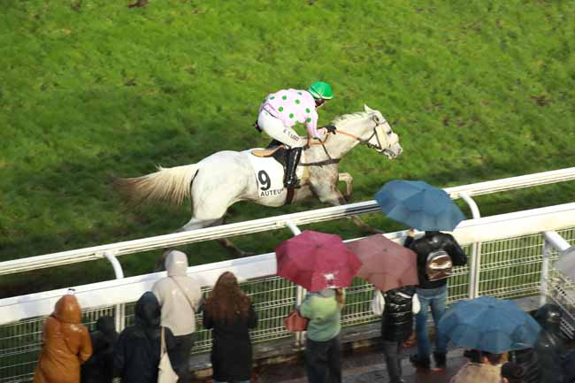 Photo d'arrivée de la course pmu PRIX MONDEVILLE à AUTEUIL le Samedi 15 novembre 2025