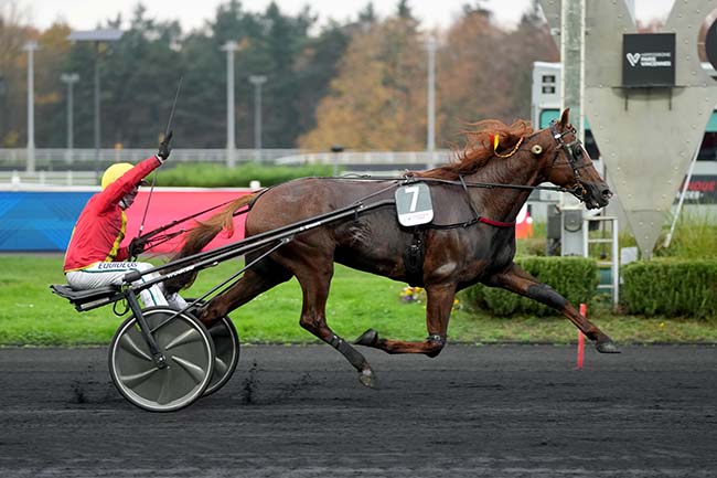 Arrivée quinté pmu PRIX DE BRETAGNE-AMERIQUE RACES Q1 à PARIS-VINCENNES