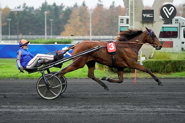Photo d'arrivée de la course pmu PRIX DE BOISSY-SAINT-LEGER à PARIS-VINCENNES le Dimanche 16 novembre 2025