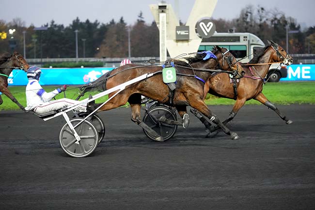 Photo d'arrivée de la course pmu PRIX GUY DELOISON à PARIS-VINCENNES le Dimanche 16 novembre 2025
