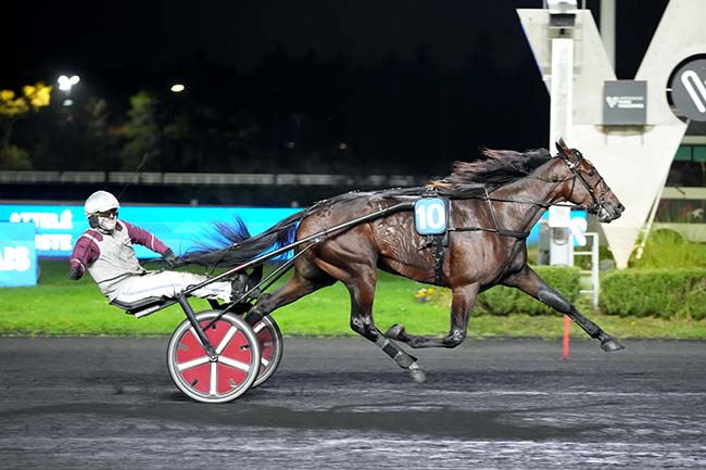 Photo d'arrivée de la course pmu PRIX PIERRE PLAZEN à PARIS-VINCENNES le Dimanche 16 novembre 2025