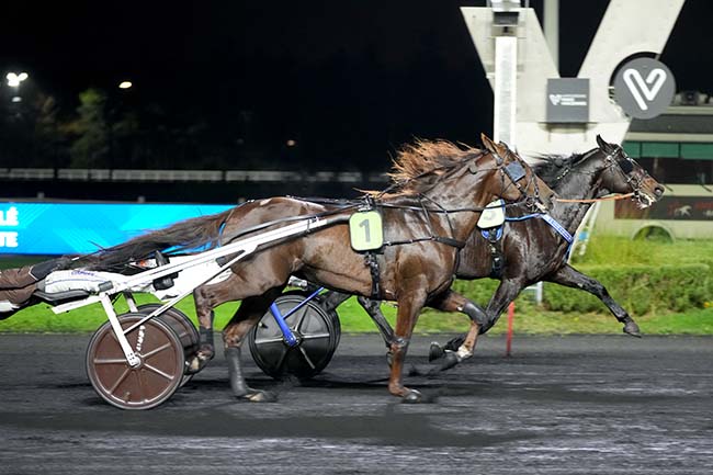 Photo d'arrivée de la course pmu PRIX D'AIGUES-MORTES à PARIS-VINCENNES le Dimanche 16 novembre 2025