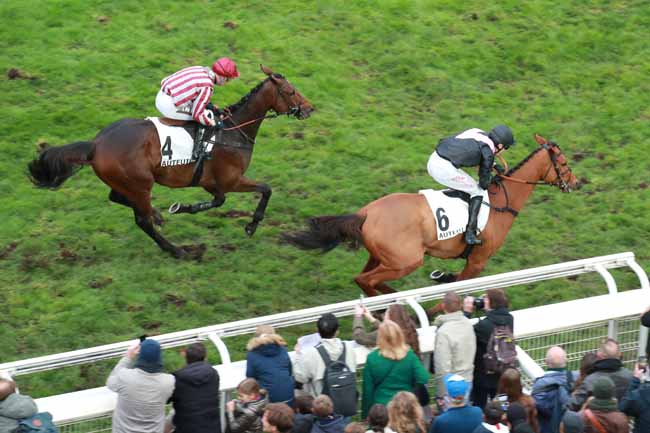 Photo d'arrivée de la course pmu PRIX RENAUD DU VIVIER - GRANDE COURSE DE HAIES DES 4 ANS à AUTEUIL le Dimanche 16 novembre 2025