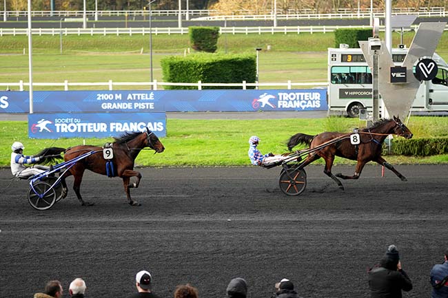 Photo d'arrivée de la course pmu PRIX DE LECELLES à PARIS-VINCENNES le Lundi 17 novembre 2025