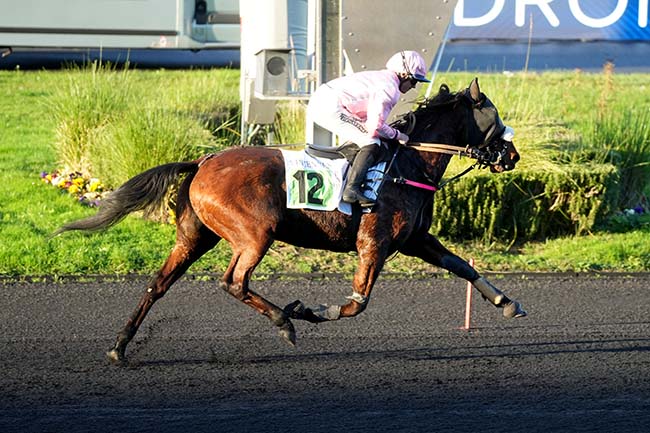 Photo d'arrivée de la course pmu PRIX DE MIRAMONT-DE-GUYENNE à PARIS-VINCENNES le Lundi 17 novembre 2025