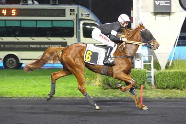 Photo d'arrivée de la course pmu PRIX HYPERION à PARIS-VINCENNES le Mardi 18 novembre 2025