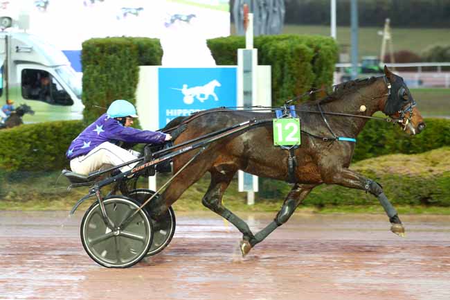 Photo d'arrivée de la course pmu GRAND PRIX DES AMATEURS à MAUQUENCHY le Mercredi 19 novembre 2025