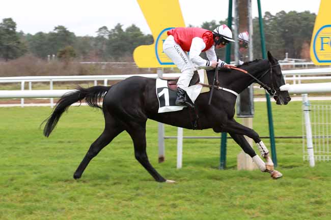Photo d'arrivée de la course pmu PRIX DES AUBEPINES à FONTAINEBLEAU le Mercredi 19 novembre 2025