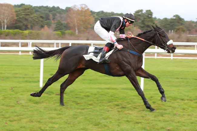 Photo d'arrivée de la course pmu PRIX DE BARBIZON à FONTAINEBLEAU le Mercredi 19 novembre 2025