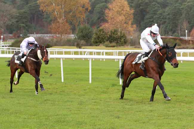 Photo d'arrivée de la course pmu PRIX DE LA ROUTE DES DEUX SOEURS à FONTAINEBLEAU le Mercredi 19 novembre 2025