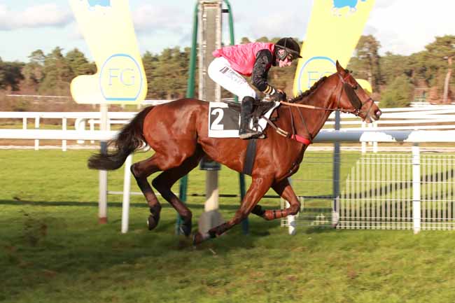 Photo d'arrivée de la course pmu PRIX DE LA GROTTE DES ERMITES à FONTAINEBLEAU le Mercredi 19 novembre 2025