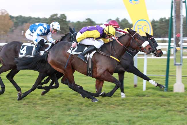 Photo d'arrivée de la course pmu PRIX DE LA FONTAINE AUX BICHES à FONTAINEBLEAU le Mercredi 19 novembre 2025