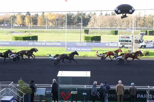 Photo d'arrivée de la course pmu PRIX DE BEAUVOIR à PARIS-VINCENNES le Jeudi 20 novembre 2025