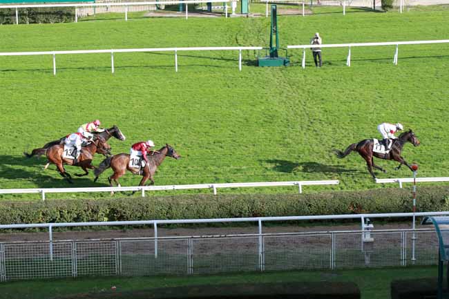 Photo d'arrivée de la course pmu PRIX DU VIADUC DE SAINT-CLOUD à SAINT CLOUD le Jeudi 20 novembre 2025