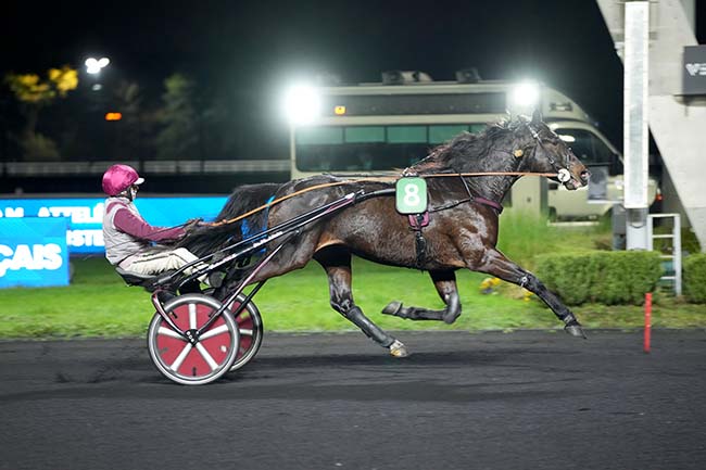 Photo d'arrivée de la course pmu PRIX HERMANTARIA à PARIS-VINCENNES le Vendredi 21 novembre 2025