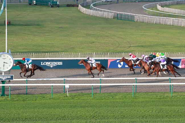 Photo d'arrivée de la course pmu PRIX DU BOIS D'ENFER à CHANTILLY le Vendredi 21 novembre 2025
