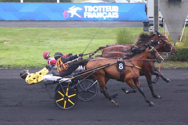 Photo d'arrivée de la course pmu PRIX TIMOKO à PARIS-VINCENNES le Samedi 22 novembre 2025