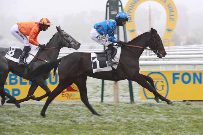 Photo d'arrivée de la course pmu PRIX DE LA TOUCHE AUX MULETS à FONTAINEBLEAU le Samedi 22 novembre 2025