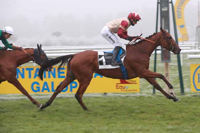Photo d'arrivée de la course pmu PRIX JACQUES DE VIENNE à FONTAINEBLEAU le Samedi 22 novembre 2025