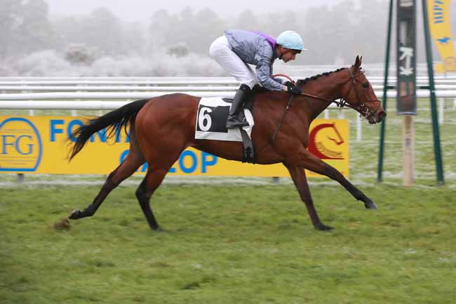 Photo d'arrivée de la course pmu PRIX CERES à FONTAINEBLEAU le Samedi 22 novembre 2025