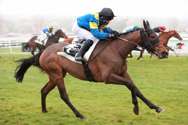Photo d'arrivée de la course pmu GRAND PRIX DE FONTAINEBLEAU à FONTAINEBLEAU le Samedi 22 novembre 2025