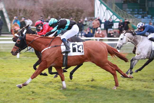 Photo d'arrivée de la course pmu PRIX DE LA MARE AUX CORNEILLES à FONTAINEBLEAU le Samedi 22 novembre 2025