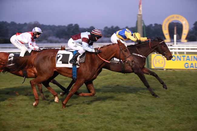Photo d'arrivée de la course pmu PRIX DU BELVEDERE DES DRUIDES à FONTAINEBLEAU le Samedi 22 novembre 2025