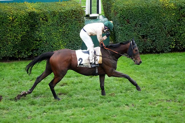 Photo d'arrivée de la course pmu PRIX BERNARD DE DUFAU à AUTEUIL le Dimanche 23 novembre 2025