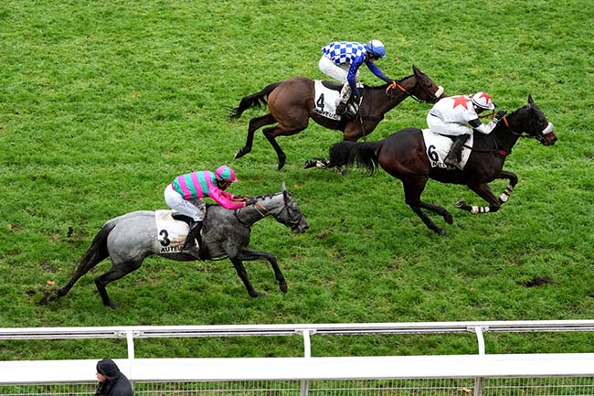 Photo d'arrivée de la course pmu PRIX JEAN SENS à AUTEUIL le Dimanche 23 novembre 2025