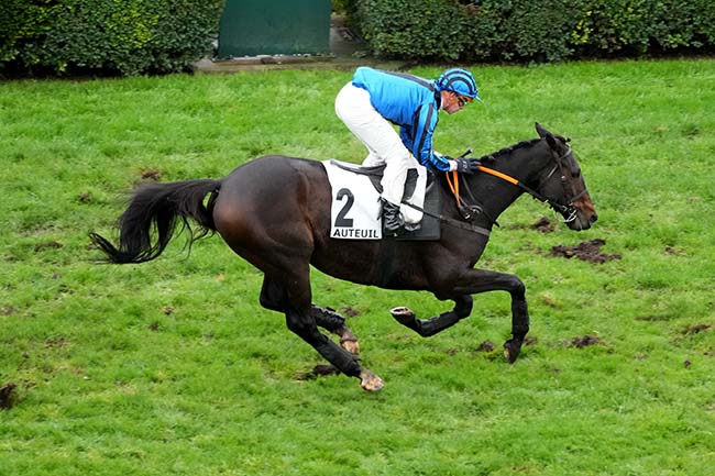 Photo d'arrivée de la course pmu STEEPLE-CHASE NATIONAL DES ANGLO-ARABES à AUTEUIL le Dimanche 23 novembre 2025