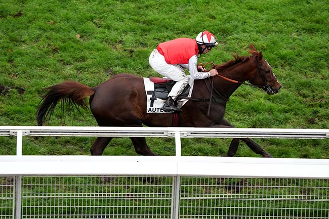 Photo d'arrivée de la course pmu PRIX DE BAGATELLE à AUTEUIL le Dimanche 23 novembre 2025