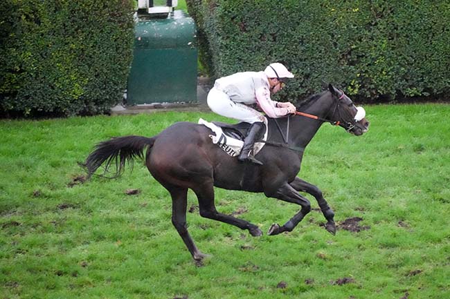 Photo d'arrivée de la course pmu PRIX THUYA à AUTEUIL le Dimanche 23 novembre 2025