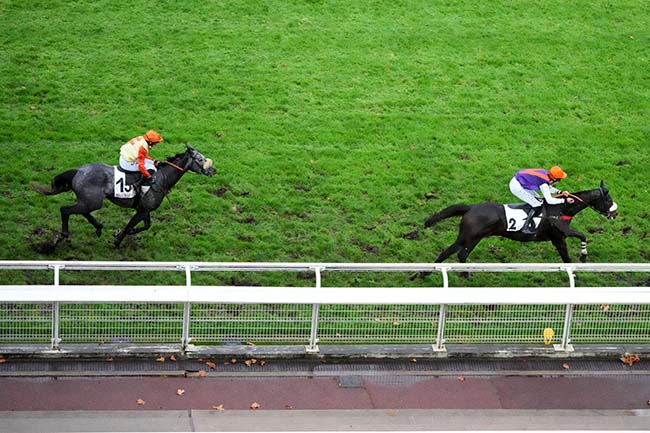 Arrivée quinté pmu PRIX MARC ANTONY à AUTEUIL
