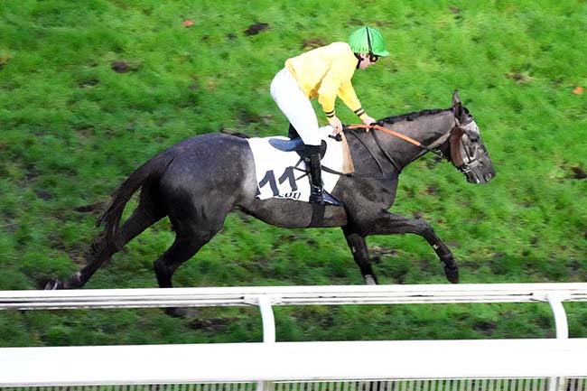 Photo d'arrivée de la course pmu PRIX TOURNAY à AUTEUIL le Dimanche 23 novembre 2025