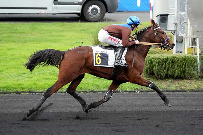 Photo d'arrivée de la course pmu PRIX DE LANDIVISIAU à PARIS-VINCENNES le Lundi 24 novembre 2025