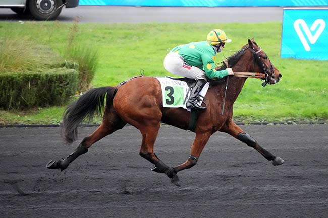 Photo d'arrivée de la course pmu PRIX DE SANTIGNY à PARIS-VINCENNES le Lundi 24 novembre 2025