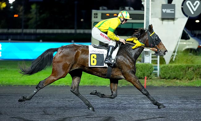 Photo d'arrivée de la course pmu PRIX PHILAGORIA à PARIS-VINCENNES le Mardi 25 novembre 2025