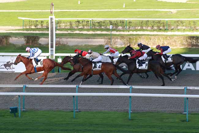 Photo d'arrivée de la course pmu PRIX DU BELVEDERE DES AVALOIRS à DEAUVILLE le Mercredi 26 novembre 2025