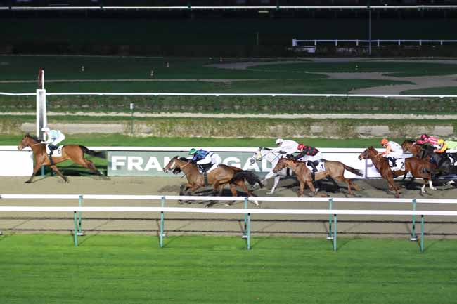 Photo d'arrivée de la course pmu PRIX DU CHATEAU DE BLANC-BUISSON à DEAUVILLE le Mercredi 26 novembre 2025