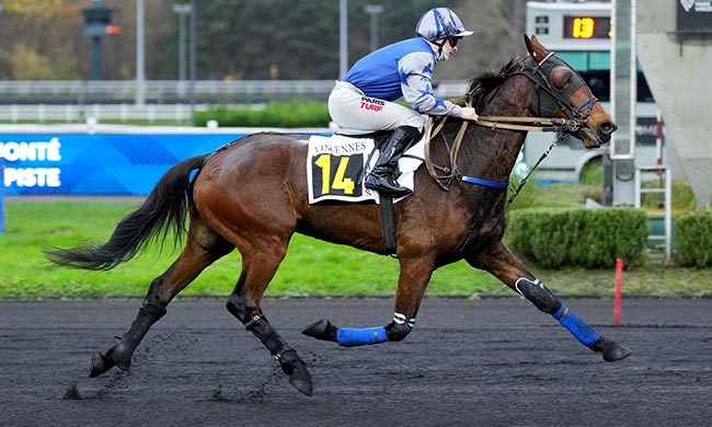 Photo d'arrivée de la course pmu PRIX DU TOUQUET à PARIS-VINCENNES le Mercredi 26 novembre 2025