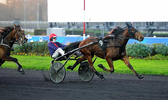 Photo d'arrivée de la course pmu PRIX DES CAMPANULES à PARIS-VINCENNES le Mercredi 26 novembre 2025