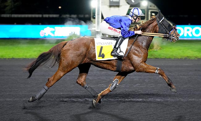 Photo d'arrivée de la course pmu PRIX DE BRICQUEBEC à PARIS-VINCENNES le Mercredi 26 novembre 2025
