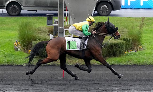Photo d'arrivée de la course pmu PRIX DE GENSAC à PARIS-VINCENNES le Jeudi 27 novembre 2025