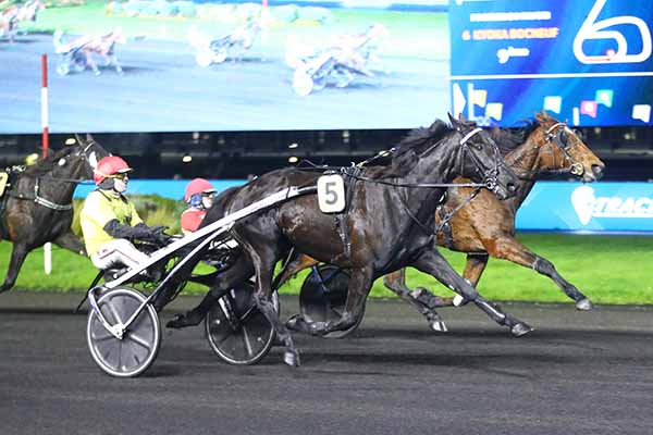 Photo d'arrivée de la course pmu PRIX DRACO à PARIS-VINCENNES le Vendredi 28 novembre 2025