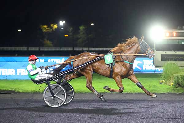 Photo d'arrivée de la course pmu PRIX ARSINOE à PARIS-VINCENNES le Vendredi 28 novembre 2025