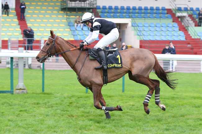 Photo d'arrivée de la course pmu PRIX HAMILTON à COMPIEGNE le Vendredi 28 novembre 2025
