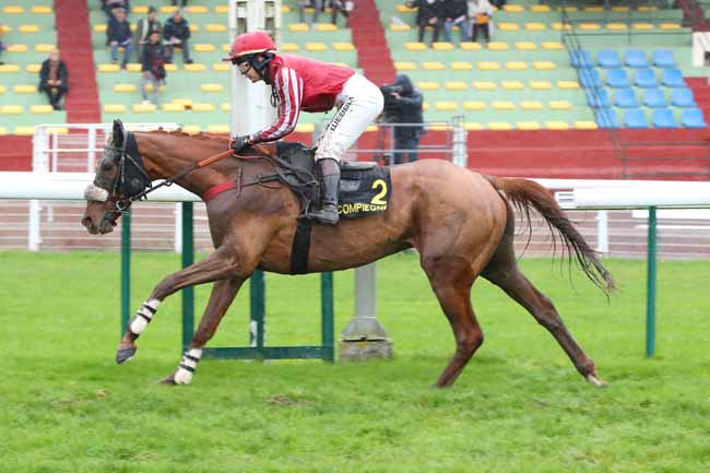Photo d'arrivée de la course pmu PRIX DANDOLO à COMPIEGNE le Vendredi 28 novembre 2025