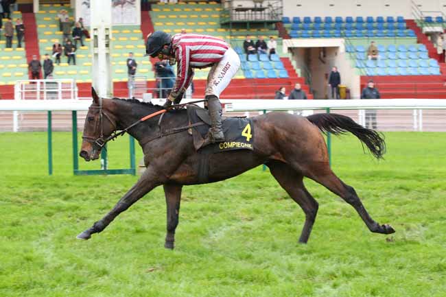 Photo d'arrivée de la course pmu PRIX LEOPOLD D'ORSETTI - GRANDE COURSE DE HAIES DE COMPIEGNE à COMPIEGNE le Vendredi 28 novembre 2025