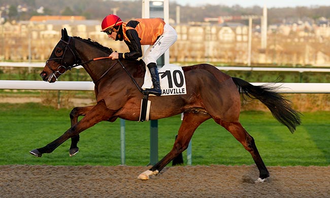 Photo d'arrivée de la course pmu PRIX DU PONT SUR LE GRAND CANAL DU HAVRE à DEAUVILLE le Vendredi 28 novembre 2025
