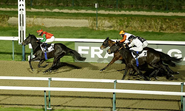 Photo d'arrivée de la course pmu PRIX DE LA FORET D'ANDAIGNE à DEAUVILLE le Vendredi 28 novembre 2025